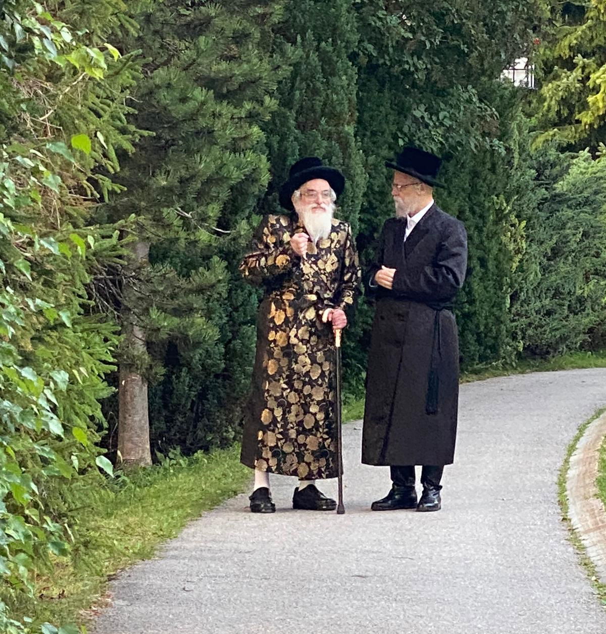 האדמו"רים מויז'ניץ וסערט ויז'ניץ בנאות דשא