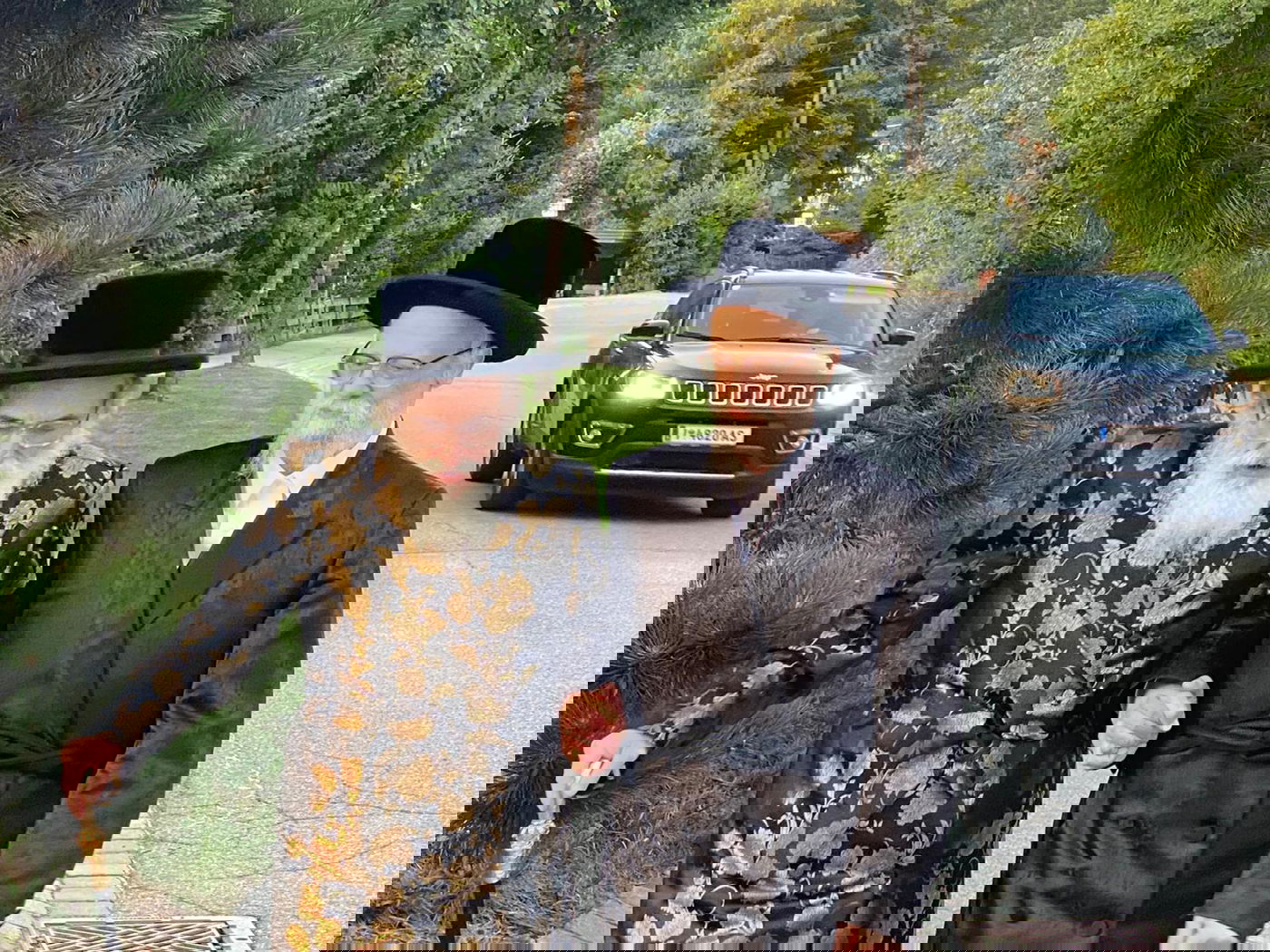 האדמו"רים מויז'ניץ וסערט ויז'ניץ בנאות דשא