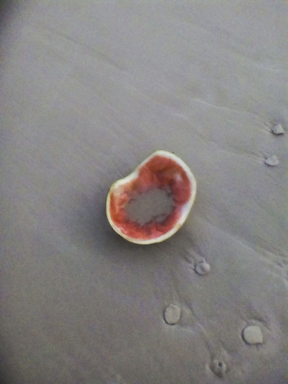 חילול השם מיותר בחוף הים הנפרד בנתניה