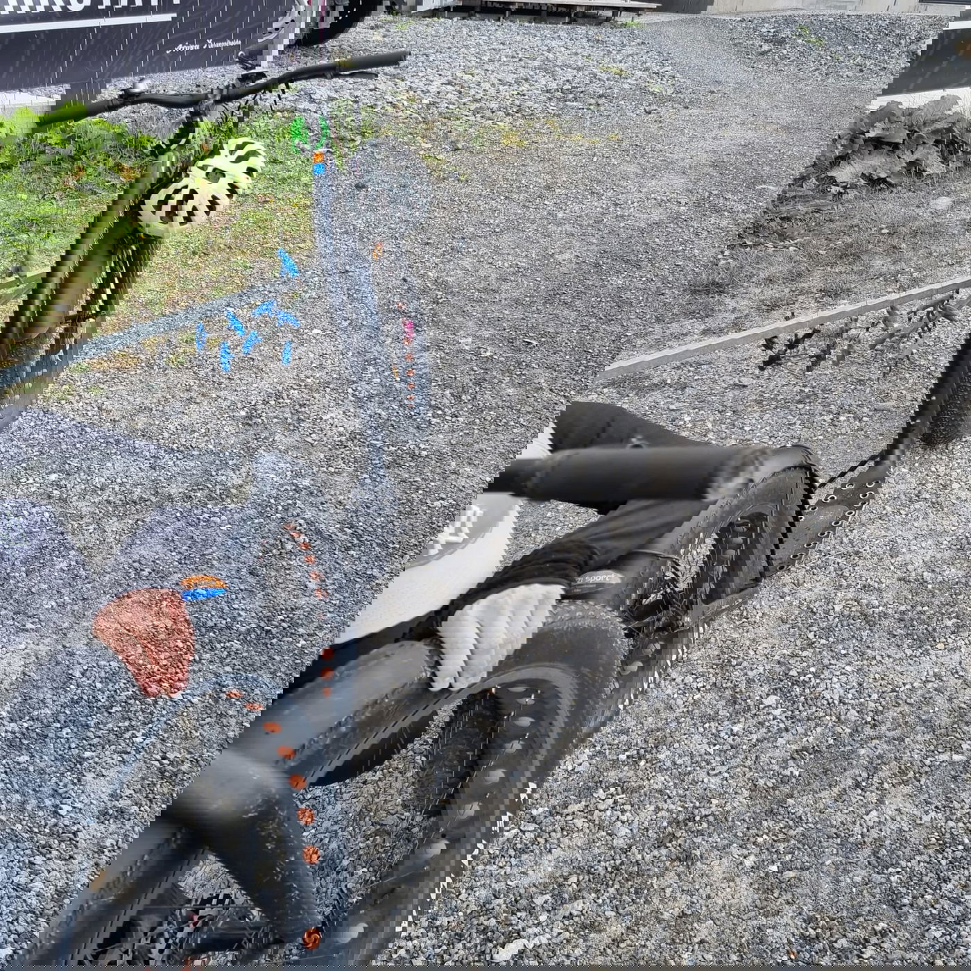 זופניק בכיכר • כל התמונות והנייעס של השבוע