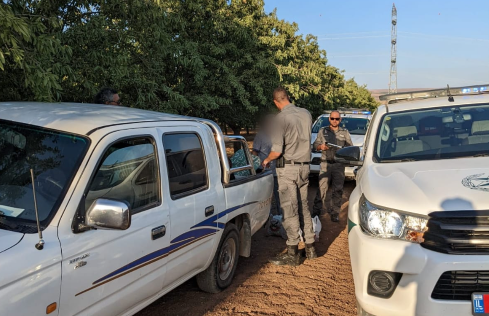 שניים גנבו תוצרת חקלאית ונתפסו "על חם"