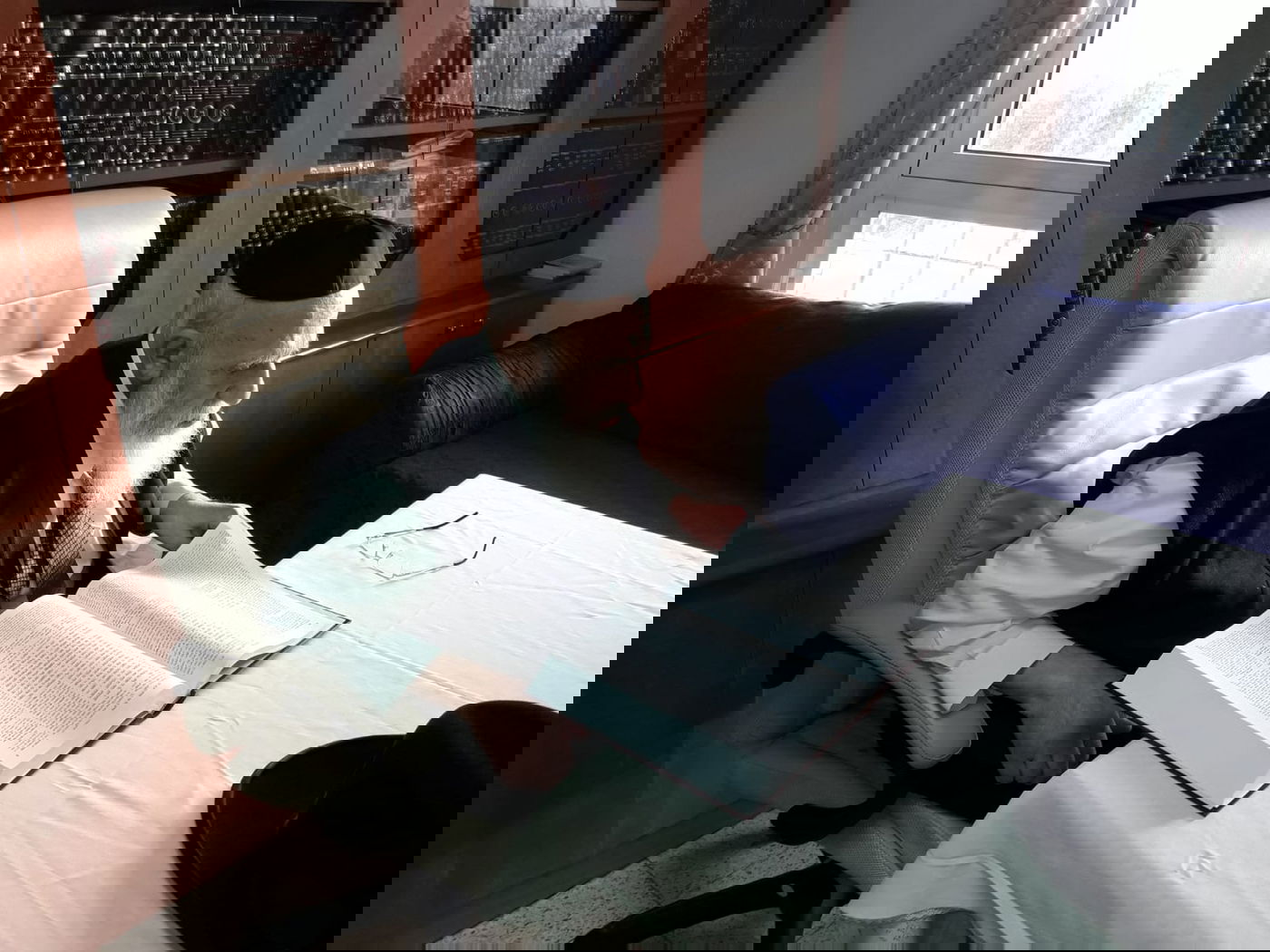 מראות חייו של נשיא המועצת חכם שלום כהן זצוק"ל