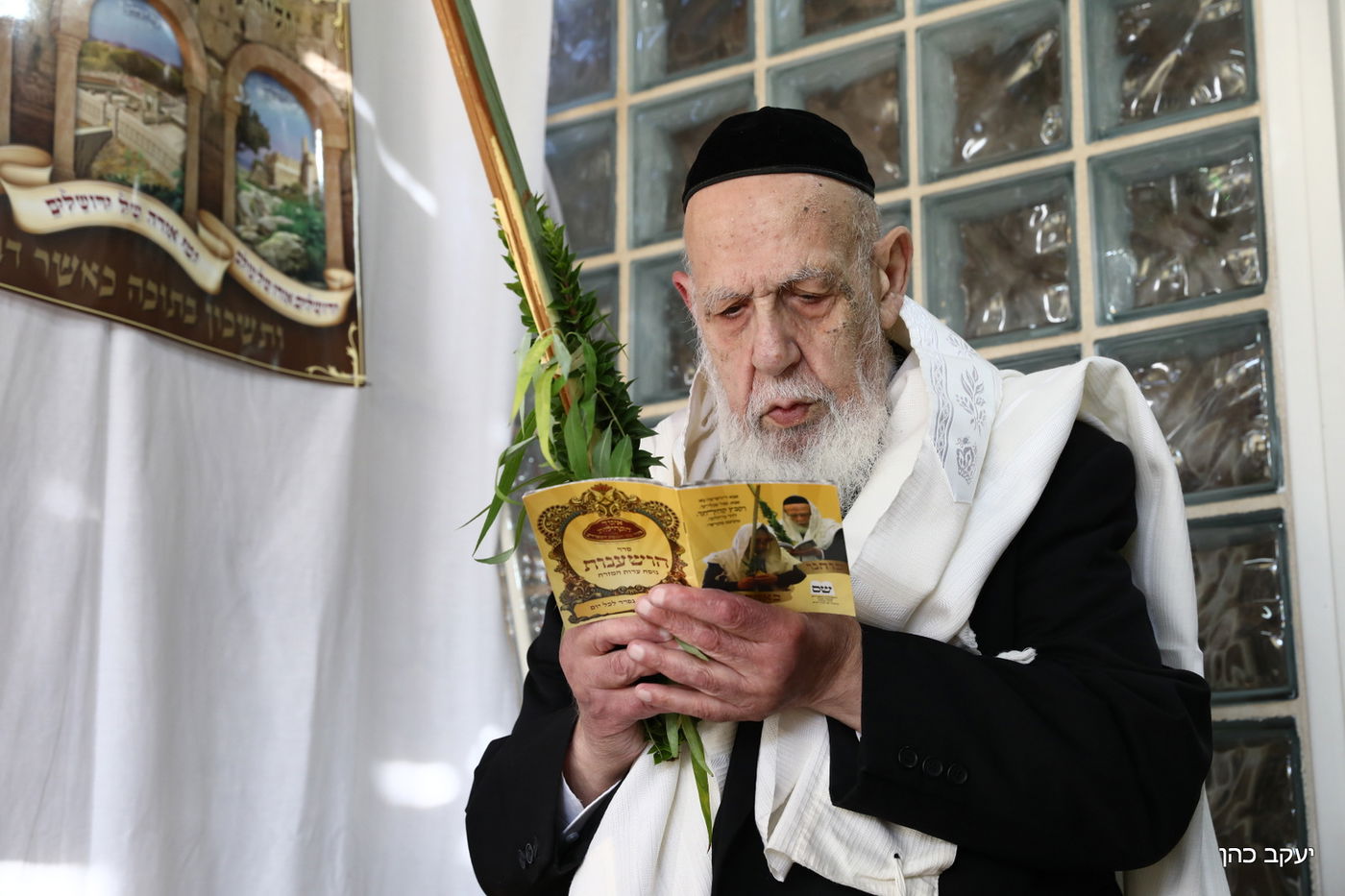 מראות חייו של נשיא המועצת חכם שלום כהן זצוק"ל