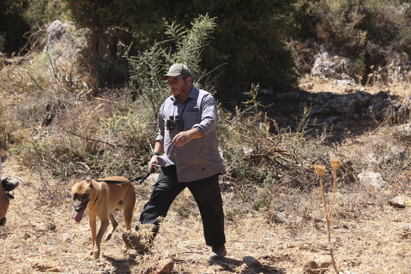 החיפושים אחר קליינרמן, היום