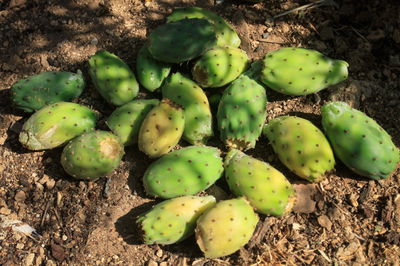 אילוסטרציה