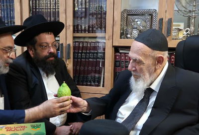 לפני מספר שבועות, חכם שלום בוחן את האתרוגים ממרוקו