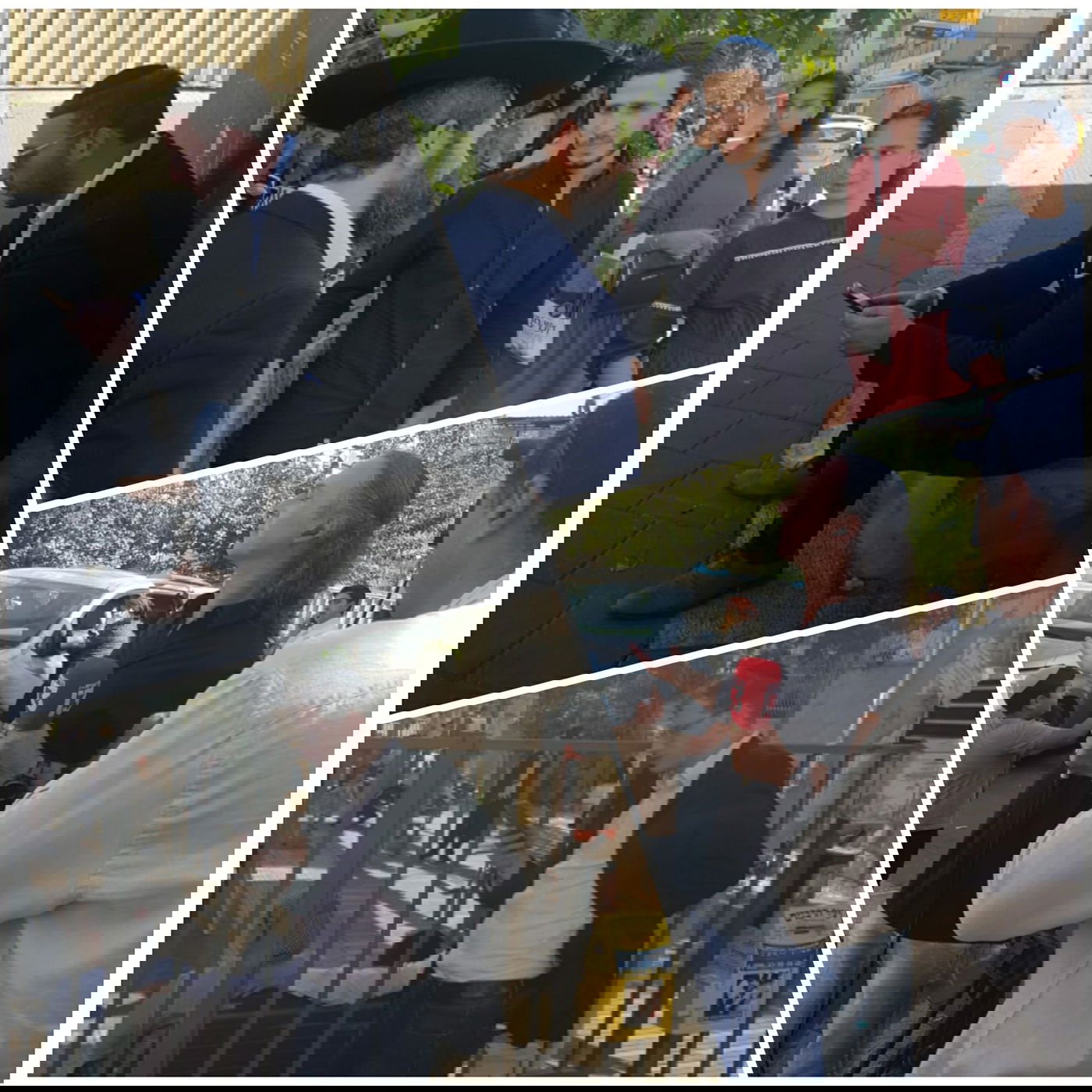 זופניק בבין הזמנים • כל התמונות והנייעס של השבוע