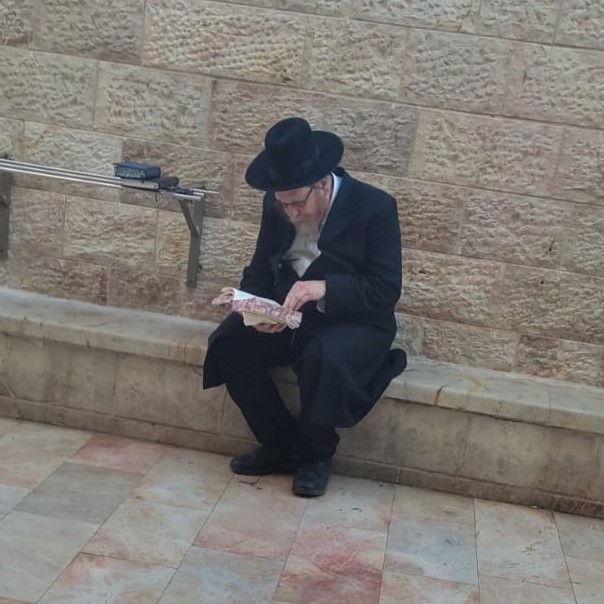 זופניק בבין הזמנים • כל התמונות והנייעס של השבוע