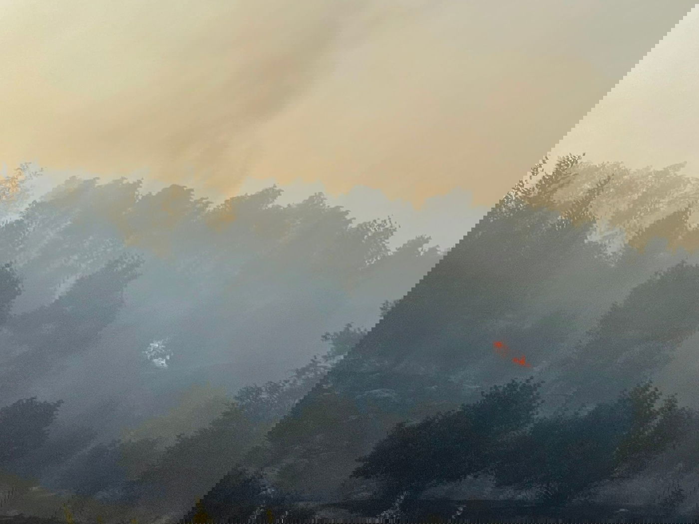 שריפה ליד בית שמש, בתים ומתחם 'איקאה' פונו