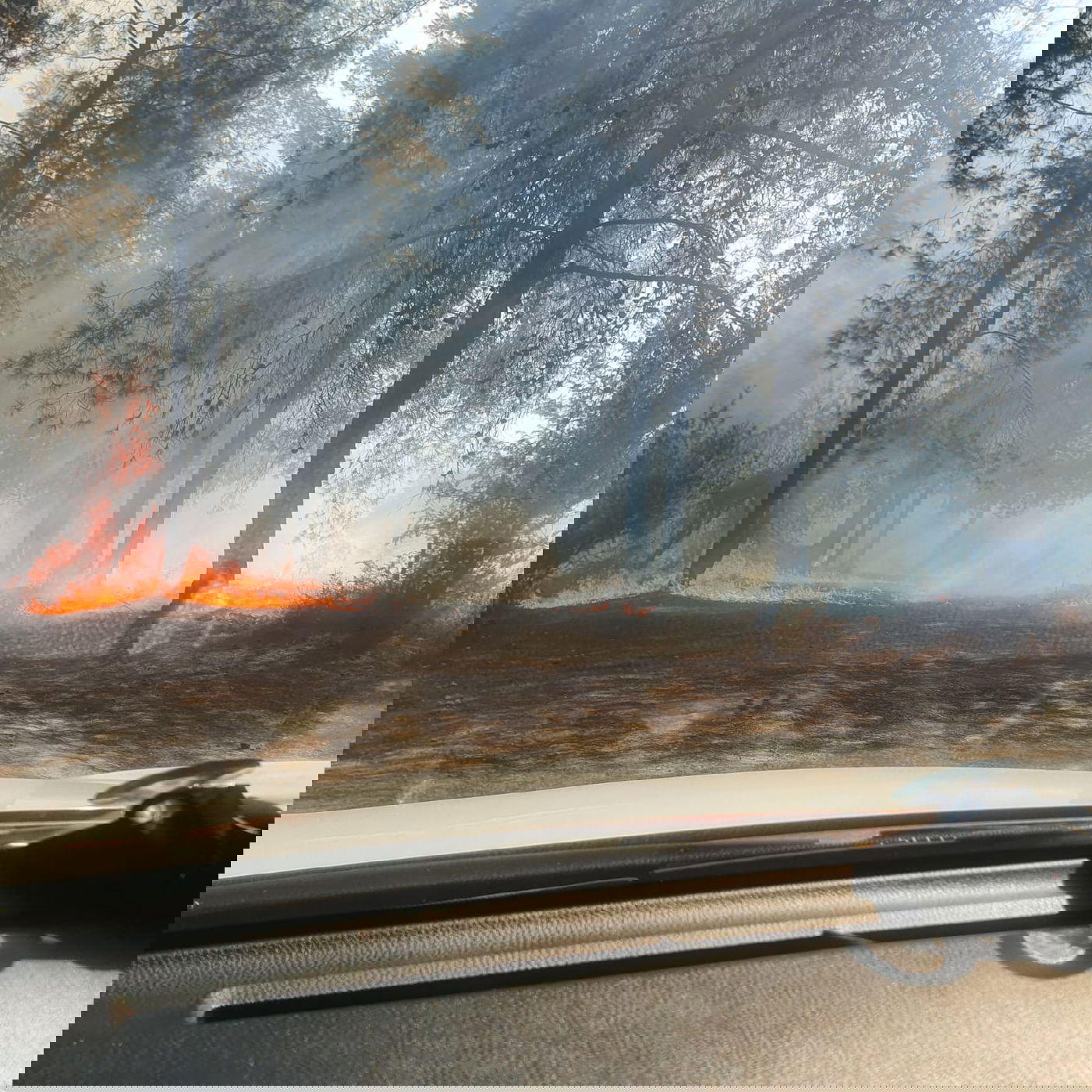 שריפה ליד בית שמש, בתים ומתחם 'איקאה' פונו