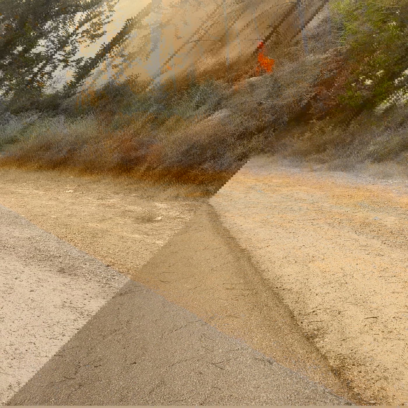 שריפה ליד בית שמש, בתים ומתחם 'איקאה' פונו