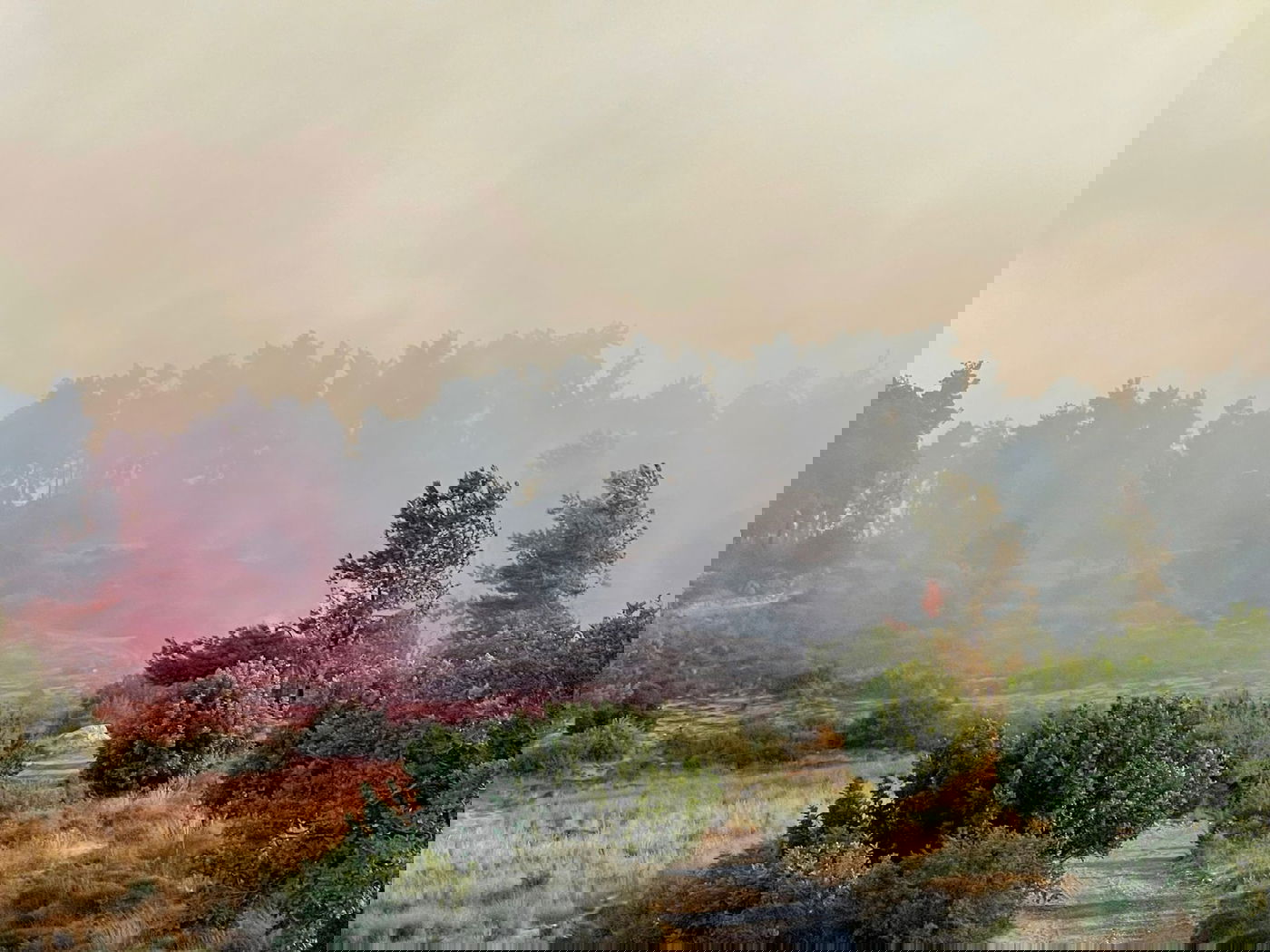 שריפה ליד בית שמש, בתים ומתחם 'איקאה' פונו