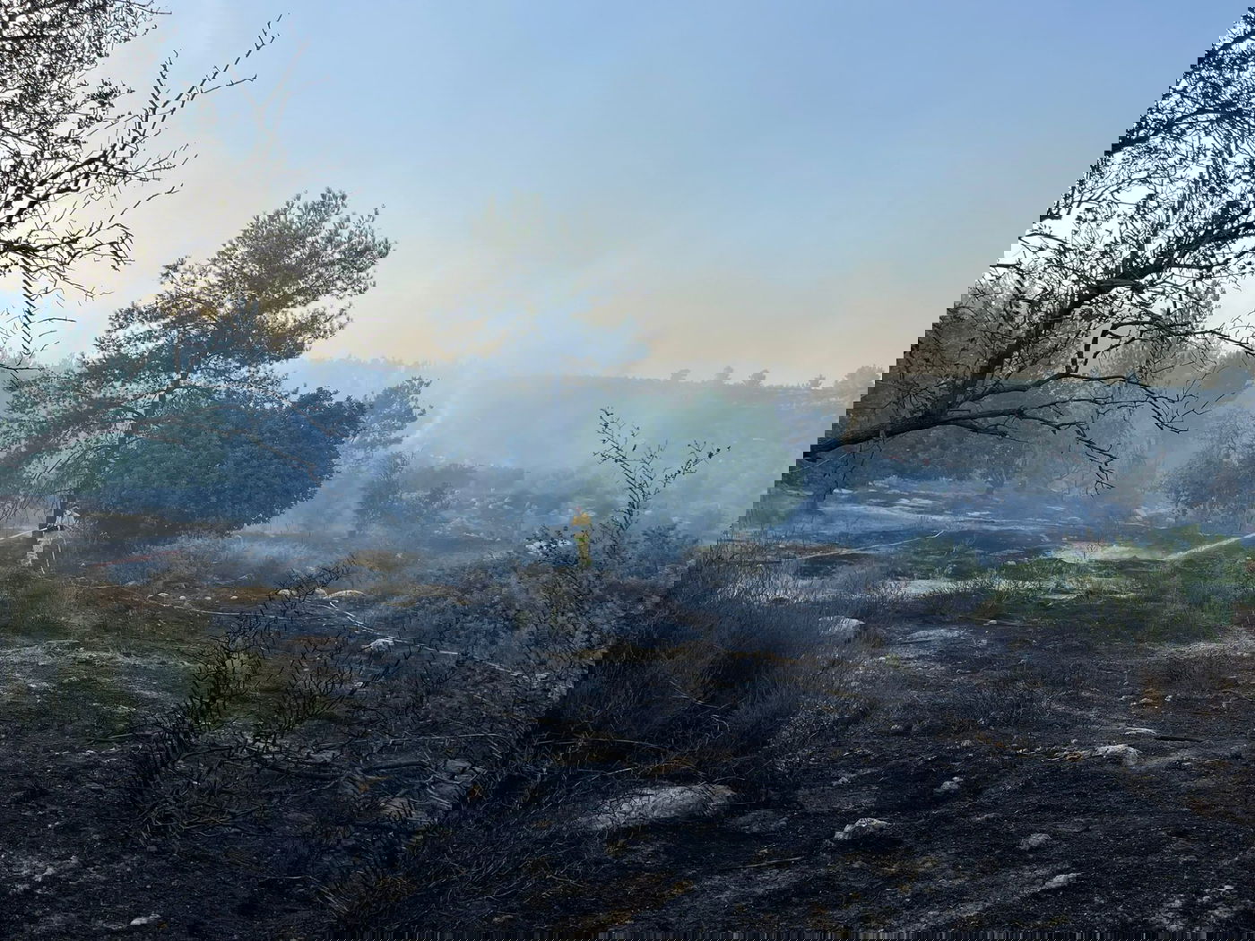 שריפה ליד בית שמש, בתים ומתחם 'איקאה' פונו