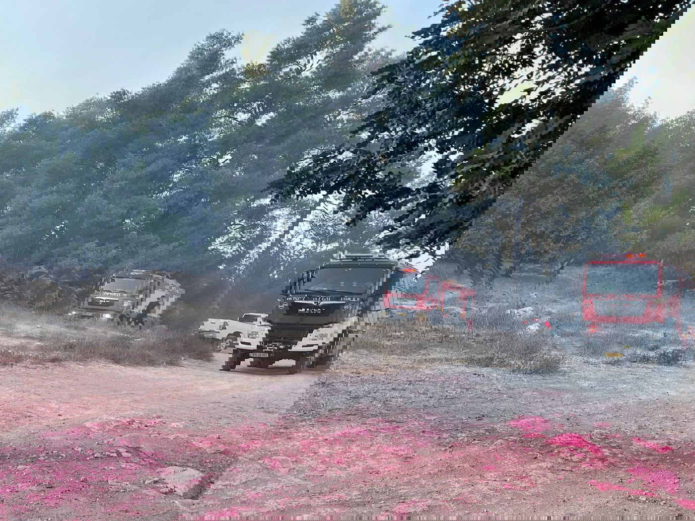 שריפה ליד בית שמש, בתים ומתחם 'איקאה' פונו