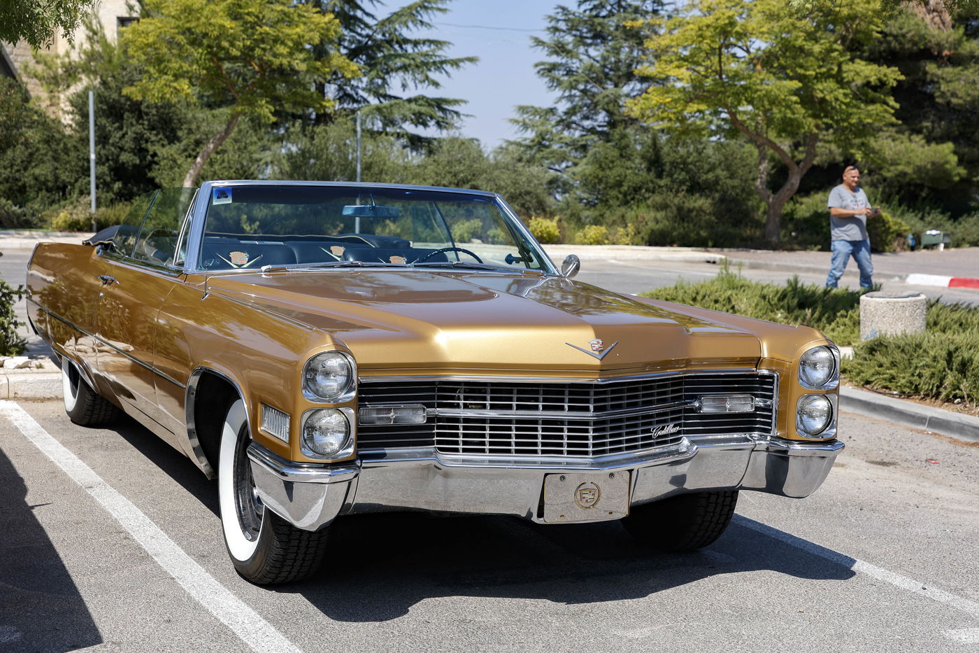 רכבי האספנות שכבשו את גוש עציון • גלריה