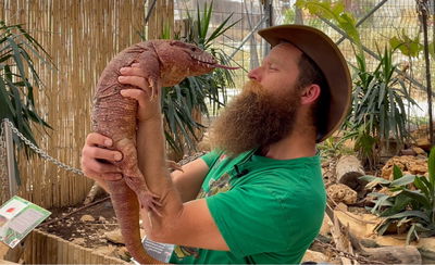 הטגו האדום הארגטינאי  •  תופתעו לגלות איך הוא מריח