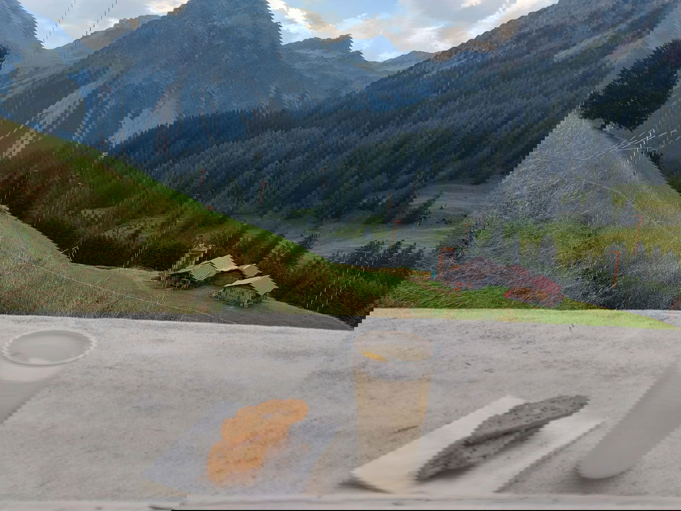 ניצוצות בדמות מאכלי גורמה בבית מלון מהדרין בשויץ קיץ תשפ"ב