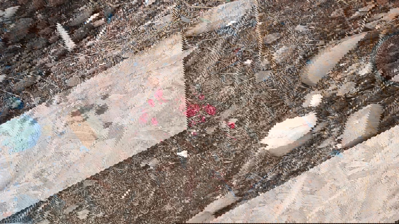 4 לפנות בוקר: בתים של 3 משפחות ברמת מגרון נהרסו