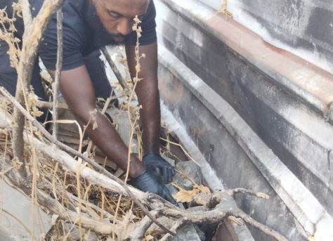 המטענים שנתפסו היום