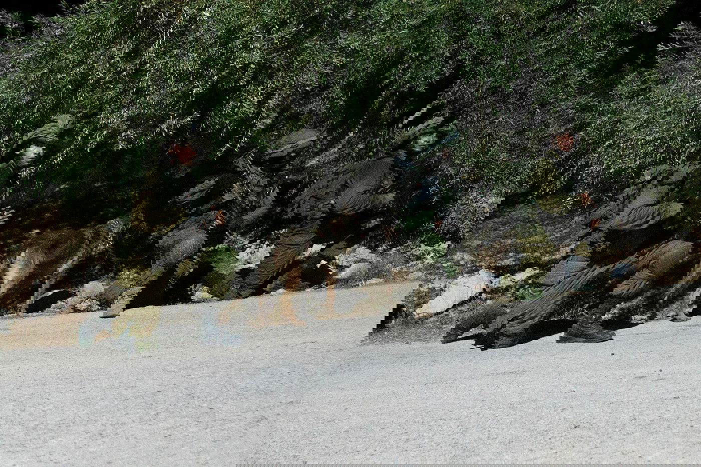 9 מבוקשים נעצרו; הלוחמים ירו ופצעו מחבל שנמלט