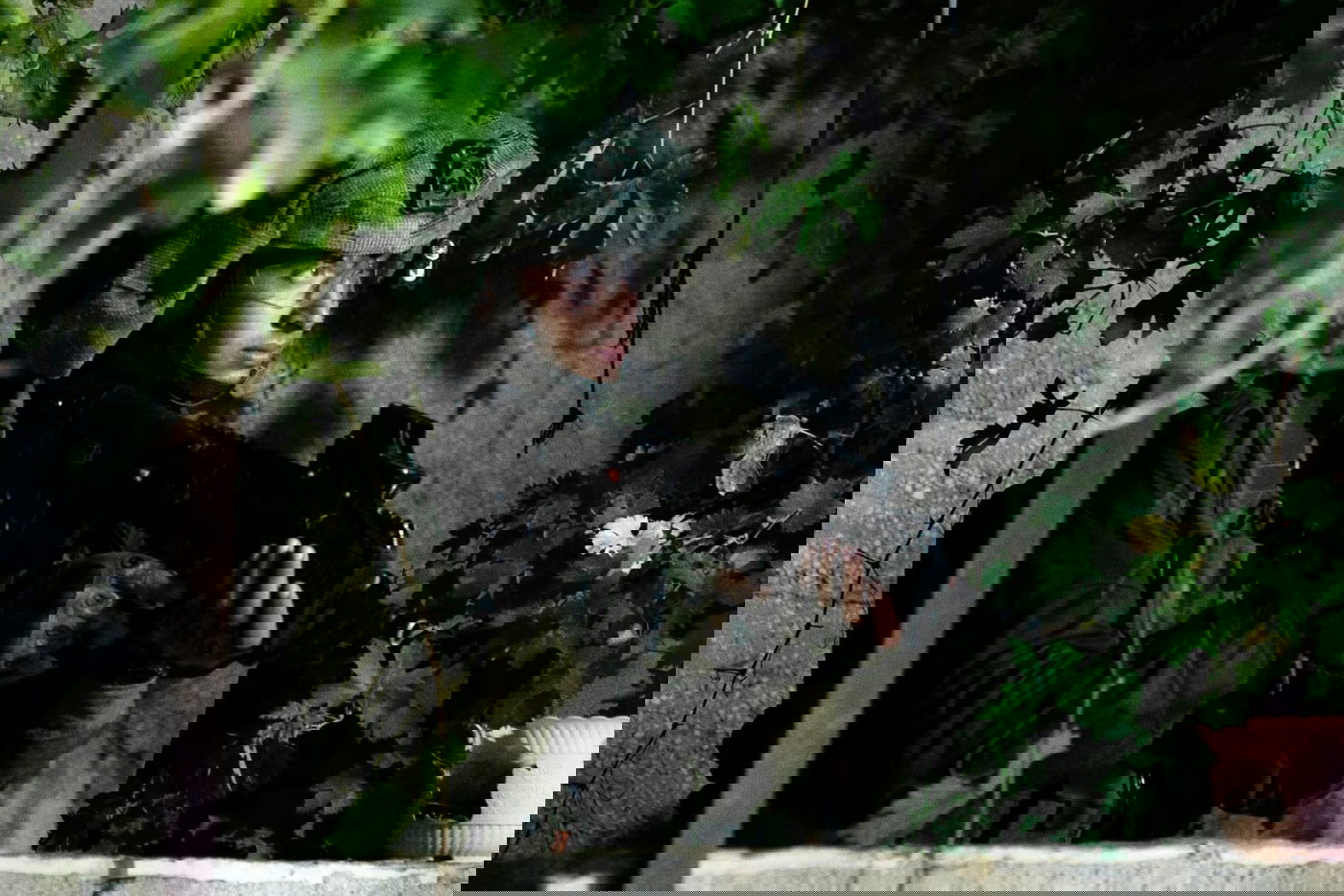 9 מבוקשים נעצרו; הלוחמים ירו ופצעו מחבל שנמלט