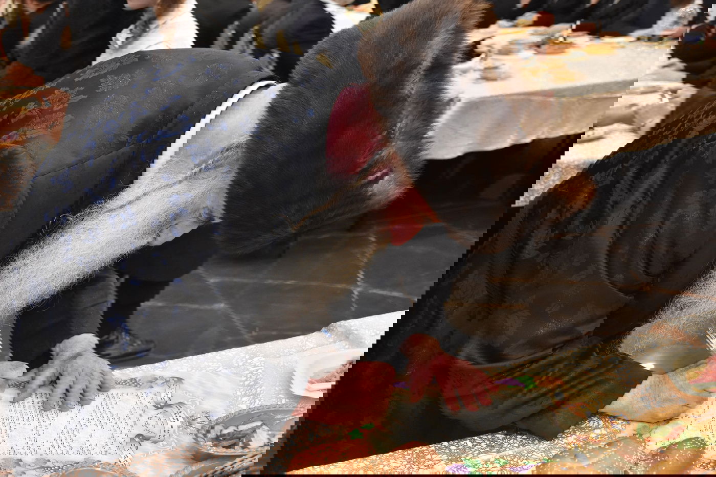 שמחת התנאים לבת הזקונים של האדמו"ר מגארליץ