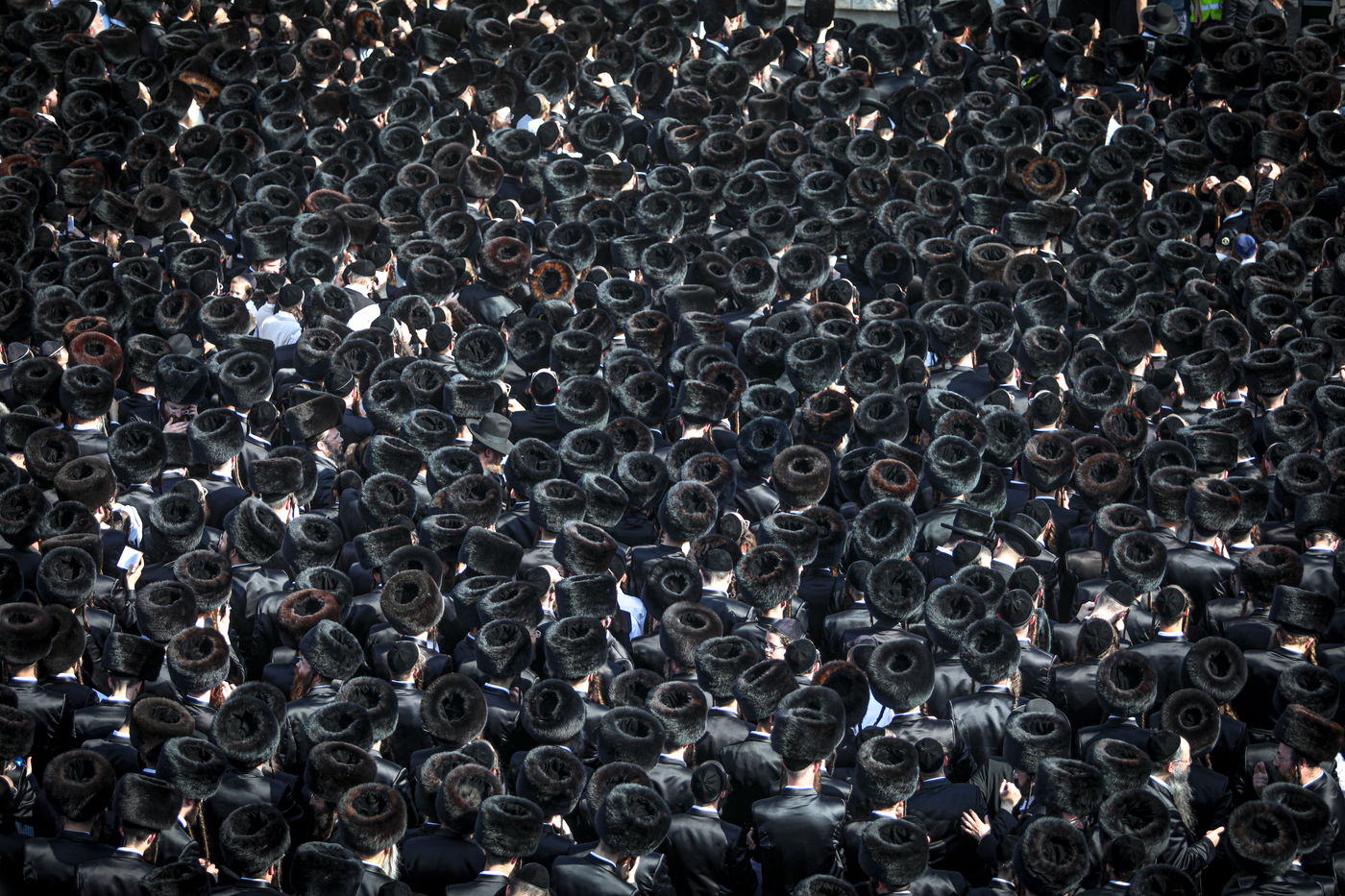 אלפי חסידי גור בחתונת נכדת האדמו"ר • תיעוד