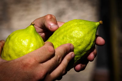 אין להכניס 4 מינים לישראל: סט יינתן למניעת עוגמת נפש