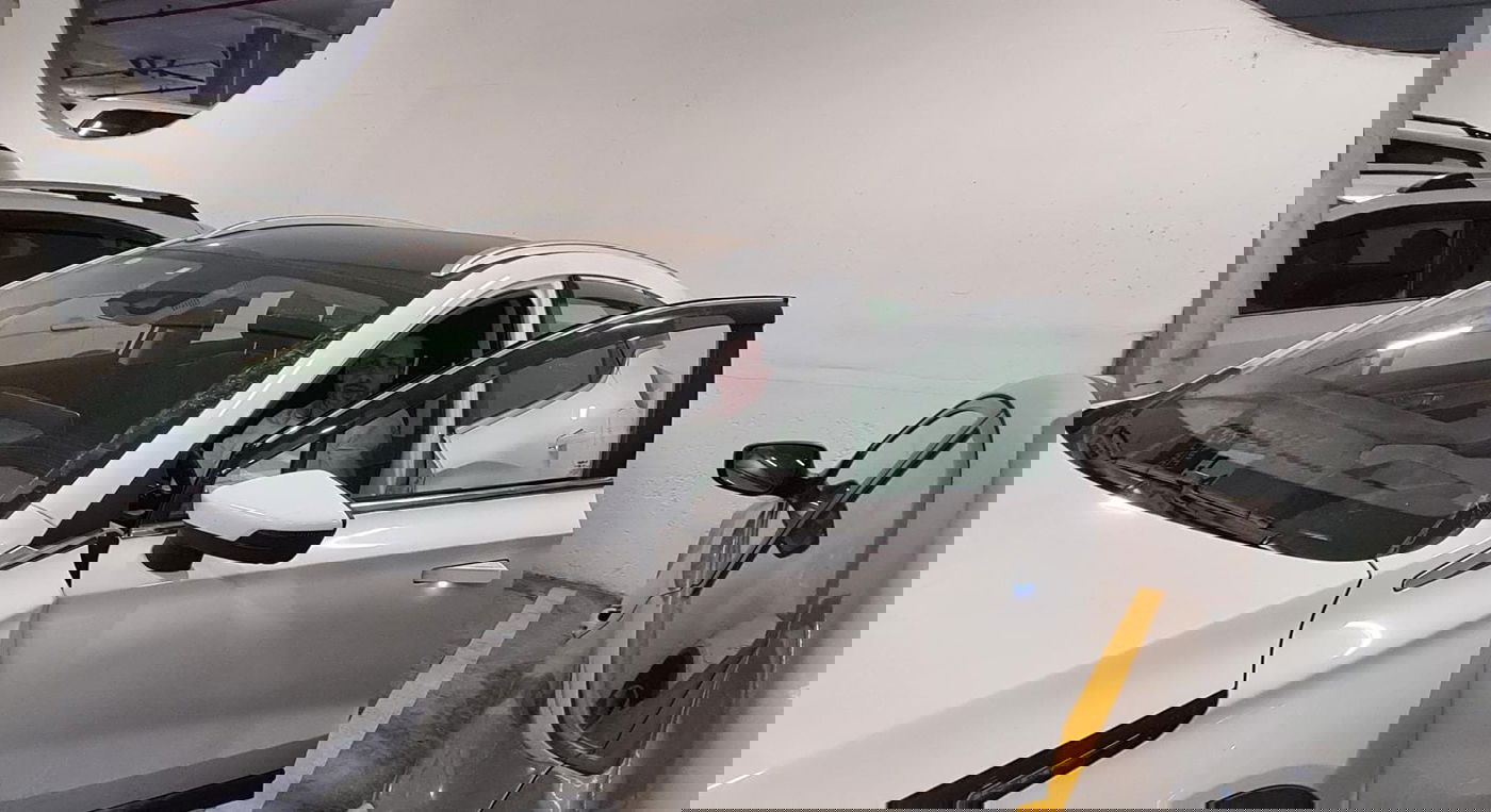 זופניק בכיכר • כל התמונות והנייעס של השבוע