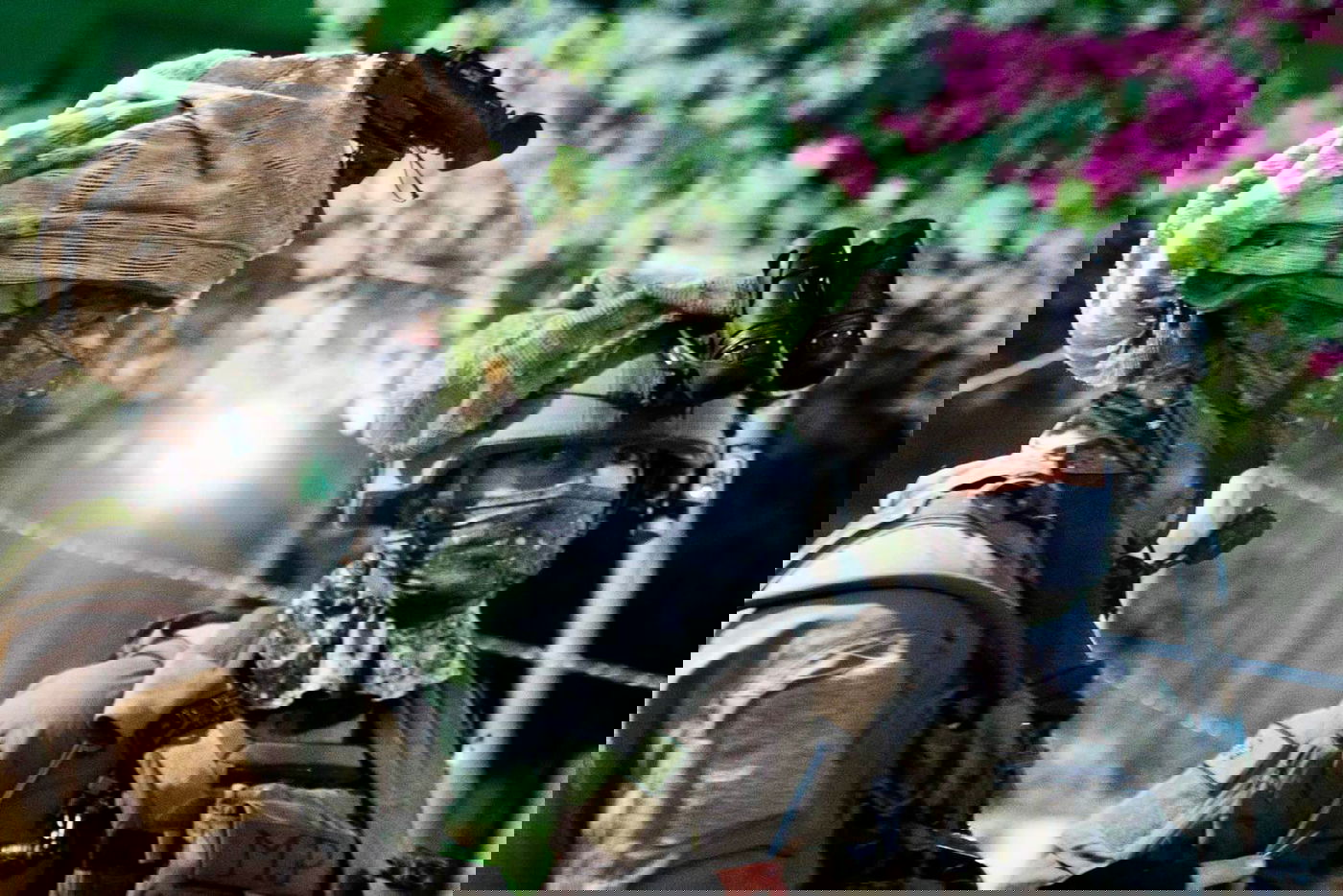 חמישה מבוקשים נעצרו הלילה כחלק מהמאבק בטרור