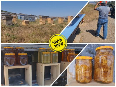 בואו לראות: דבש בשלושה צבעים • צפו בתיעוד מגאורגיה