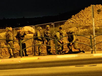 הפיגוע בצומת תפוח