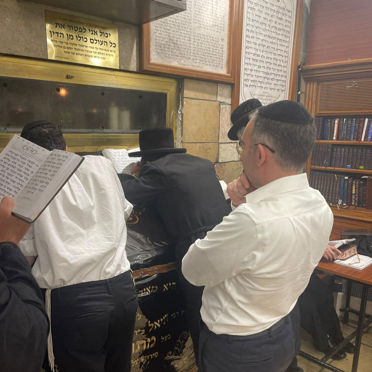 זופניק בכיכר • כל התמונות והנייעס של השבוע