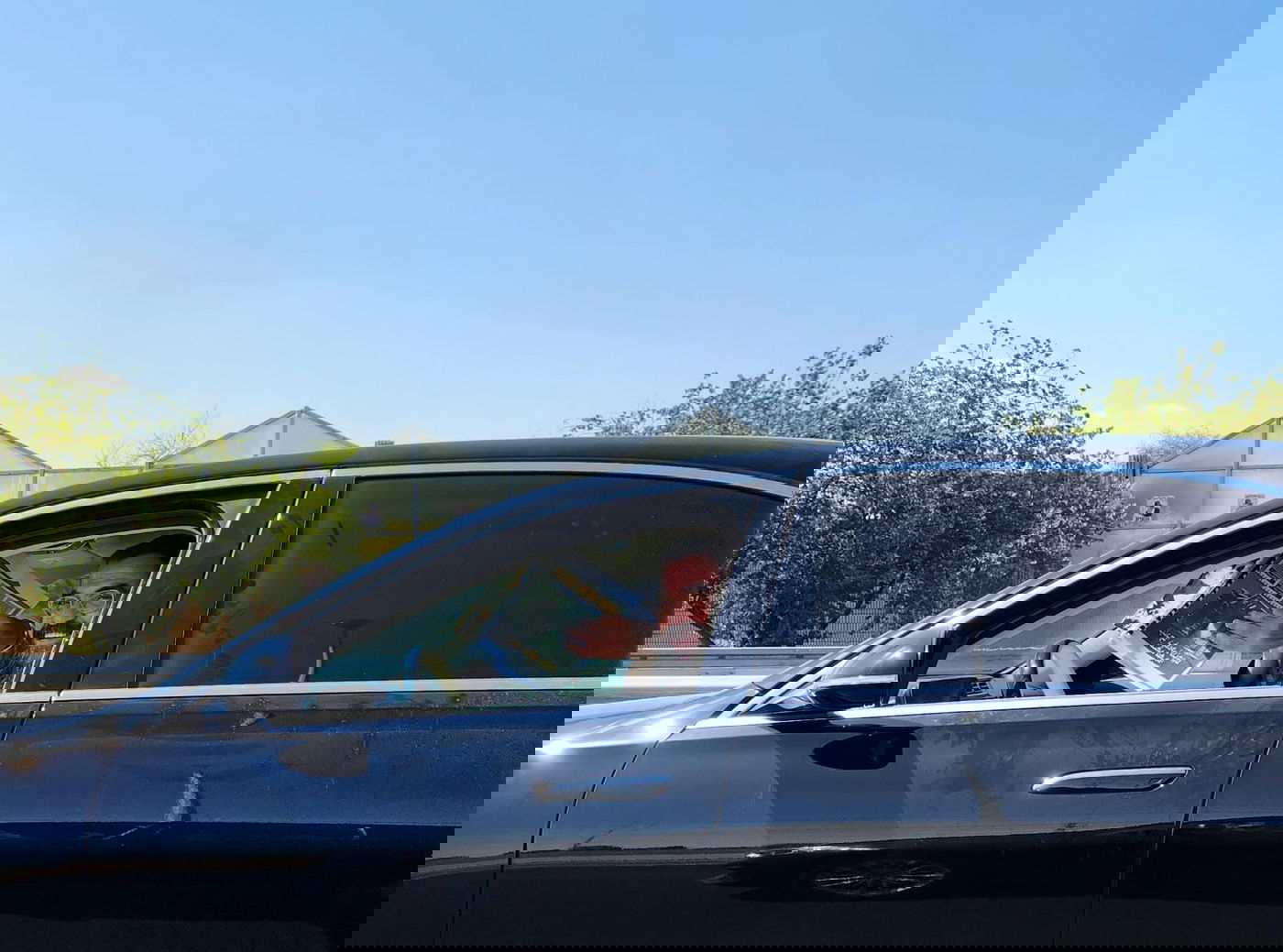 זופניק בכיכר • כל התמונות והנייעס של השבוע