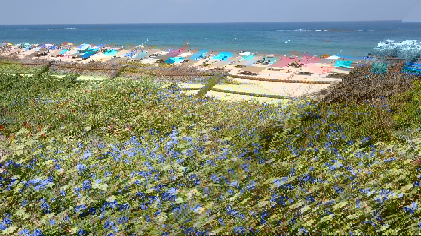 הגן הלאומי פלמחים