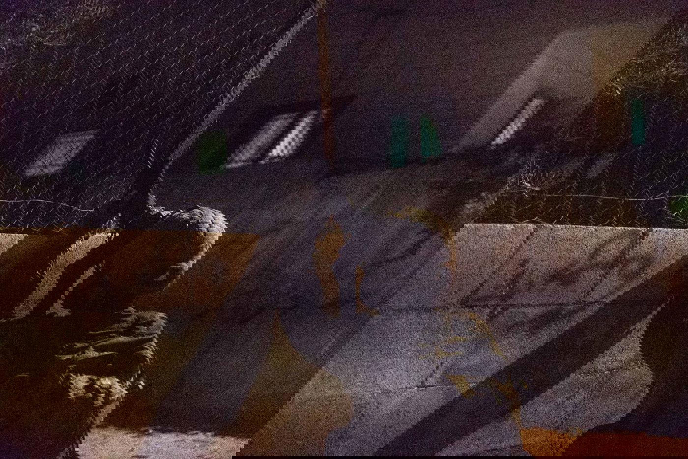 14 מבוקשים נעצרו: ירי לעבר עמדת צה"ל ליד שכם