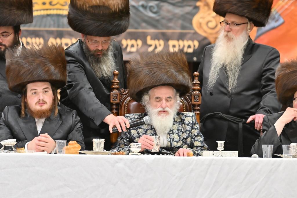 גלריית סיכום: ימי השבע ברכות לנכד האדמו"ר מויז'ניץ