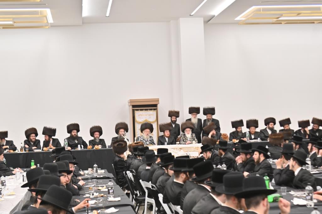 גלריית סיכום: ימי השבע ברכות לנכד האדמו"ר מויז'ניץ