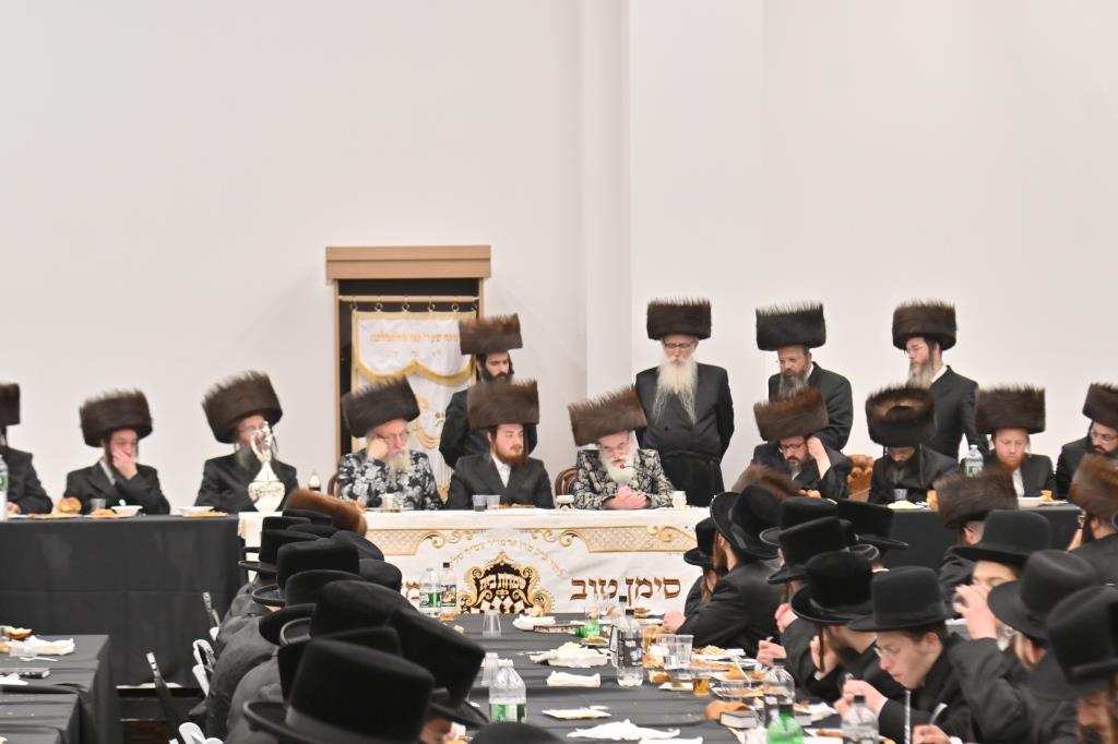 גלריית סיכום: ימי השבע ברכות לנכד האדמו"ר מויז'ניץ