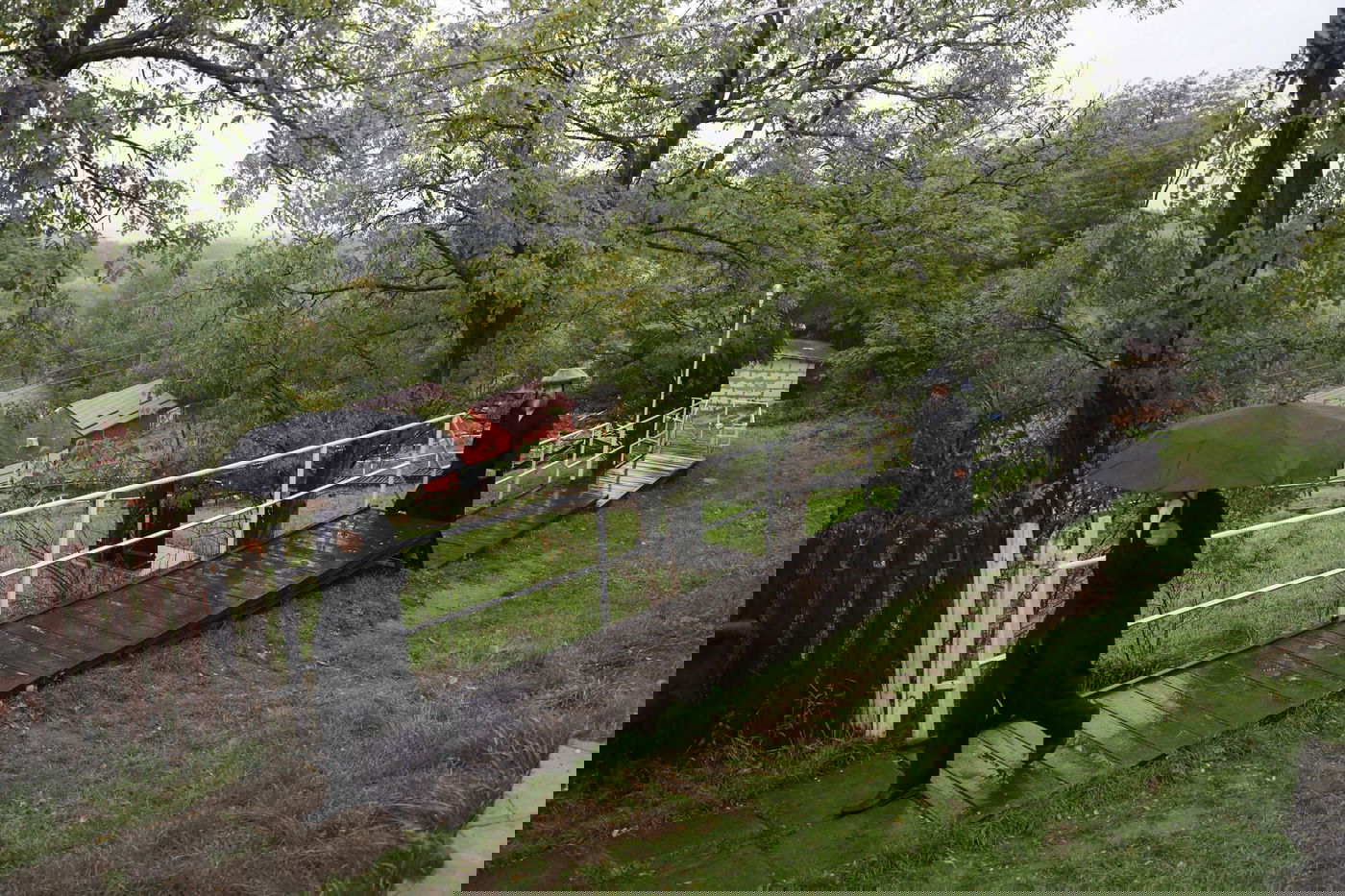 תיעוד מיוחד מאוקראינה: החסידים הגיעו גם לעיר ברסלב