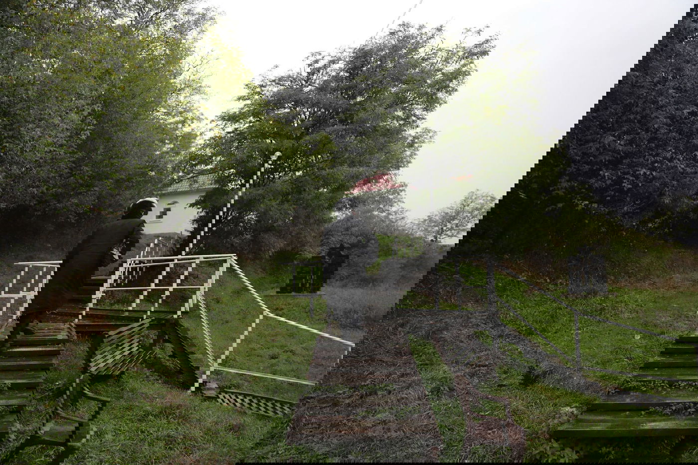 תיעוד מיוחד מאוקראינה: החסידים הגיעו גם לעיר ברסלב