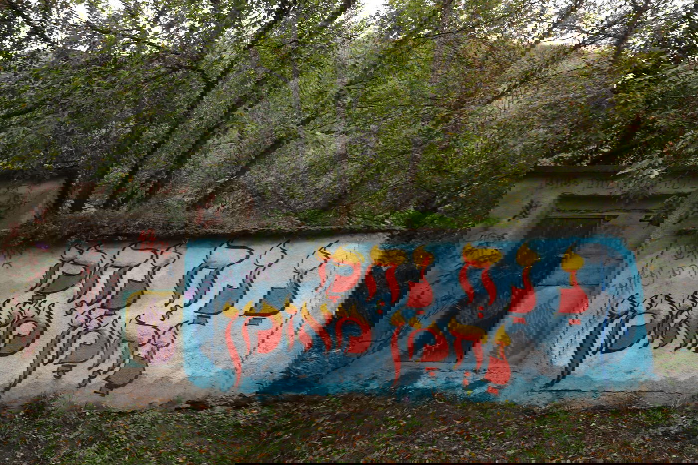 תיעוד מיוחד מאוקראינה: החסידים הגיעו גם לעיר ברסלב