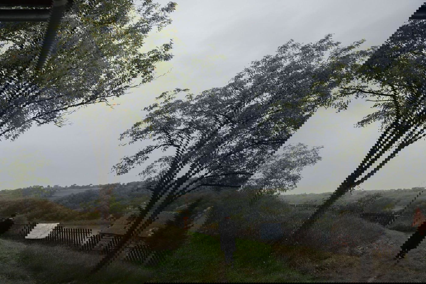 תיעוד מיוחד מאוקראינה: החסידים הגיעו גם לעיר ברסלב