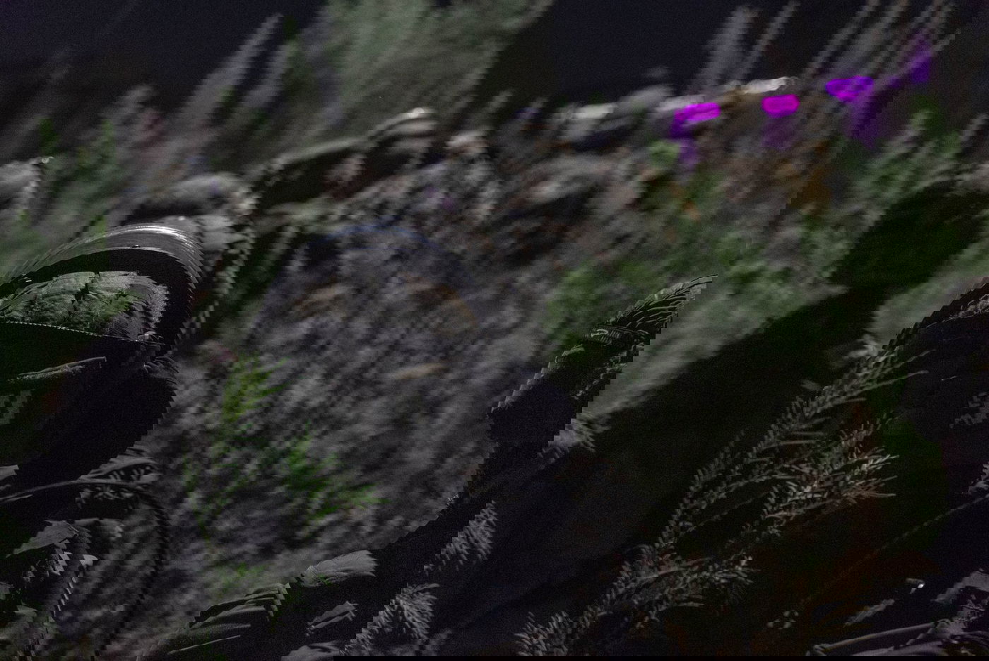 תיעוד: מספר מבוקשים נעצרו ביו"ש; חייל אחד נפצע