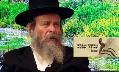 עשרות שנות תפילה בברסלב | 'עבודה שבלב' עם הרב משה ביננשטוק