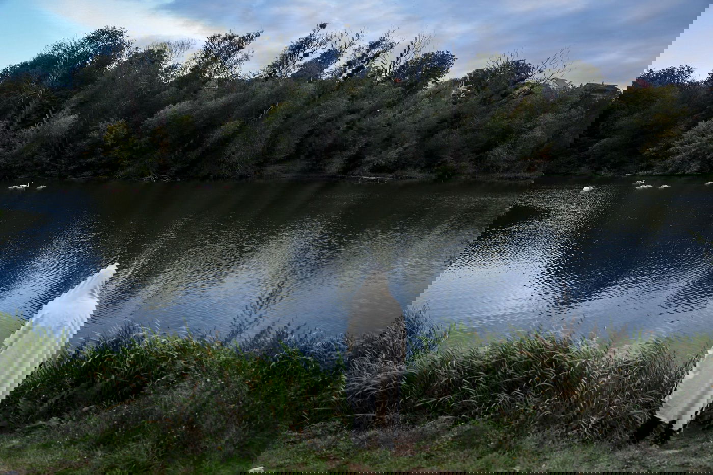 אומן, ערב ראש השנה: תיעוד סוחף מהאווירה בציון רבי נחמן