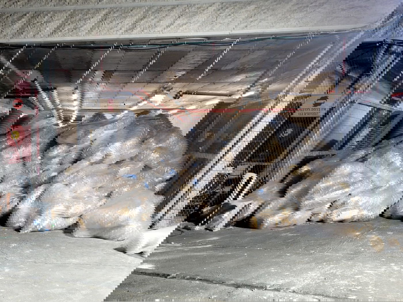 זופניק בכיכר • כל התמונות והנייעס של השבוע