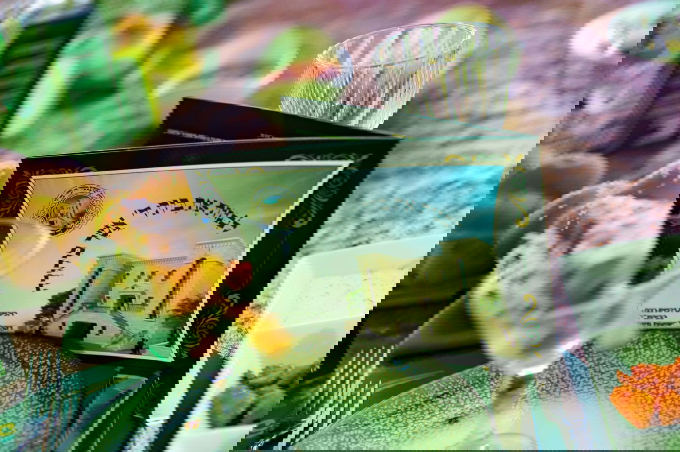 חסידי ויז'ניץ בביתר התכנסו ל'דינר' מיוחד