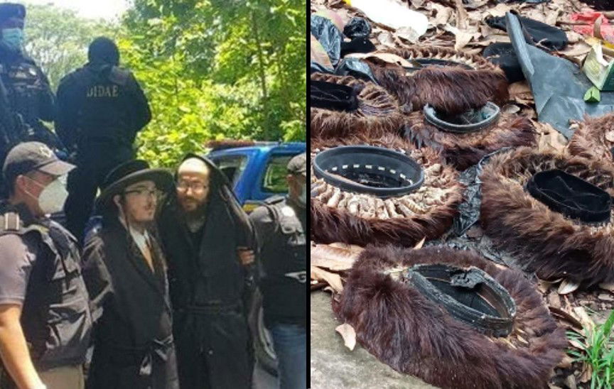 שטריימלים זרוקים במתחם. פשיטה על אנשי הכת. אילוסטרציה