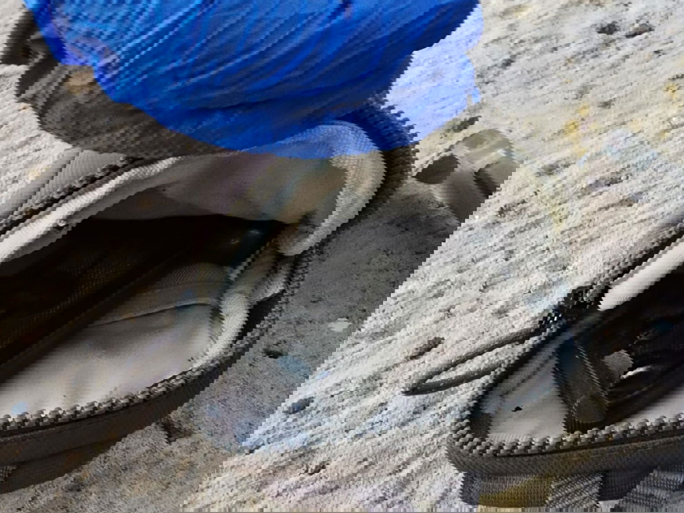 השוטרים פשטו על ה'לופט' וגילו: נשקים, סמים וכסף מזויף